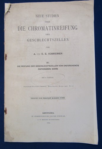 Schreiner neue studien - schreiner,